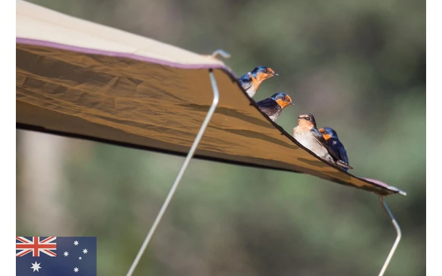 Gordigear Dachzelt 140 Plus Für 2 Personen Mit Vorzelt 140 X 320 Cm Grün â Bild 7